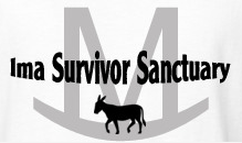 Ima Survivor – Donkey and Farm Animal Sanctuary